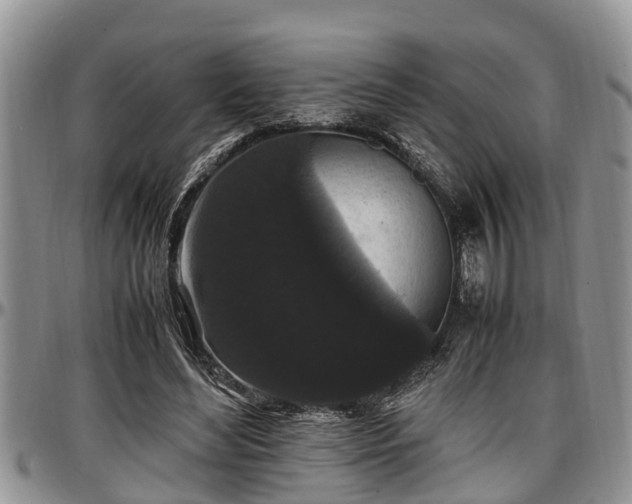 X0000097500492200802291601