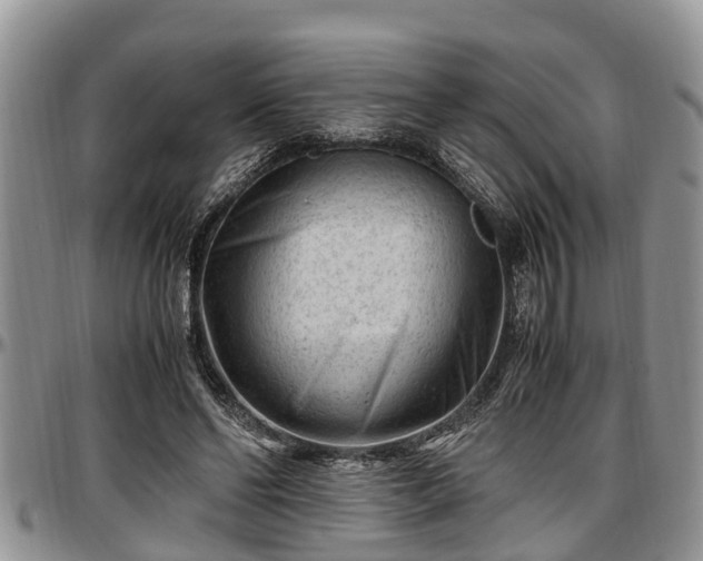 X0000097500494200802291601