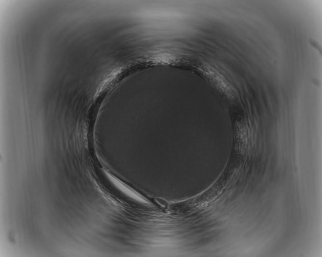 X0000097500496200802291601