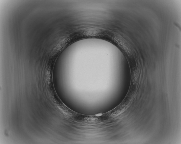 X0000097500497200802291601