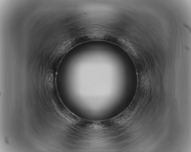X0000097500498200802291601