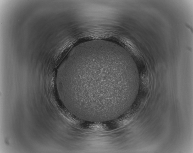 X0000097500499200802291601
