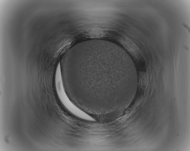X0000097500501200802291601