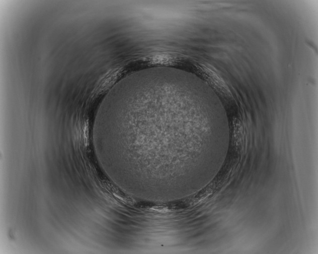 X0000097500502200802291601