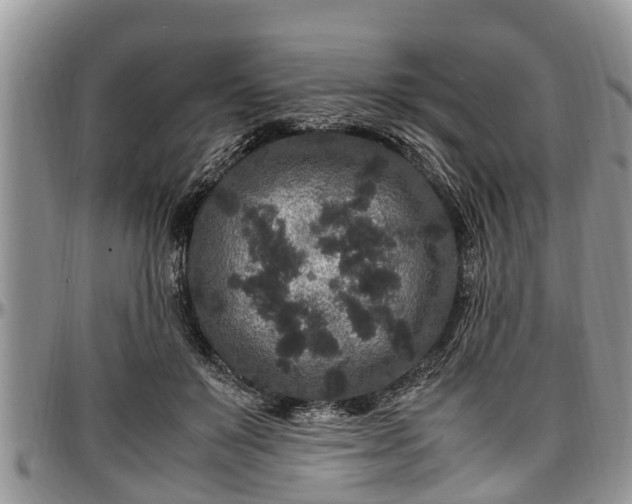X0000097500503200802291601