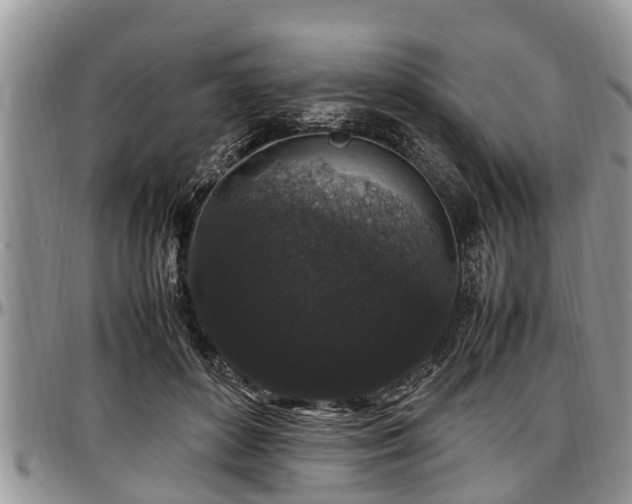 X0000097500504200802291601