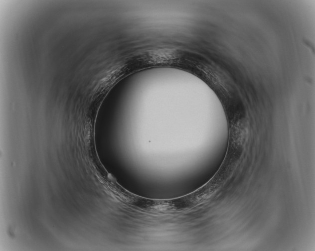 X0000097500505200802291601