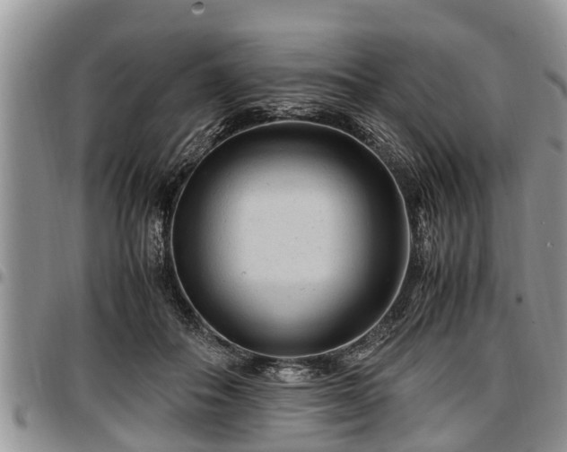X0000097500506200802291601