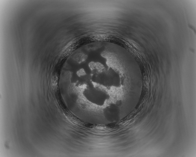 X0000097500507200802291601