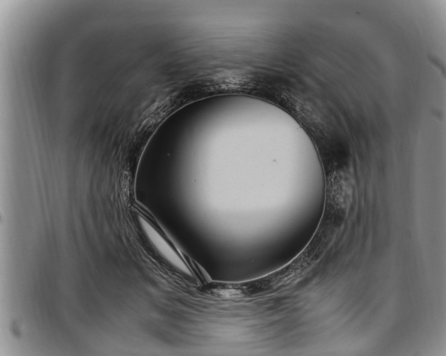X0000097500509200802291600