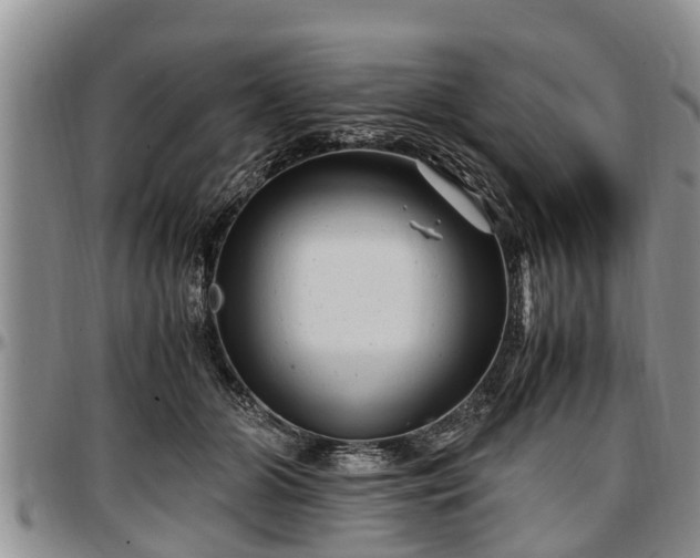 X0000097500510200802291600