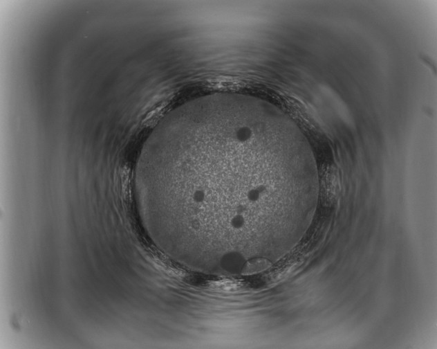X0000097500511200802291600