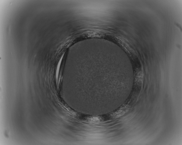 X0000097500513200802291600