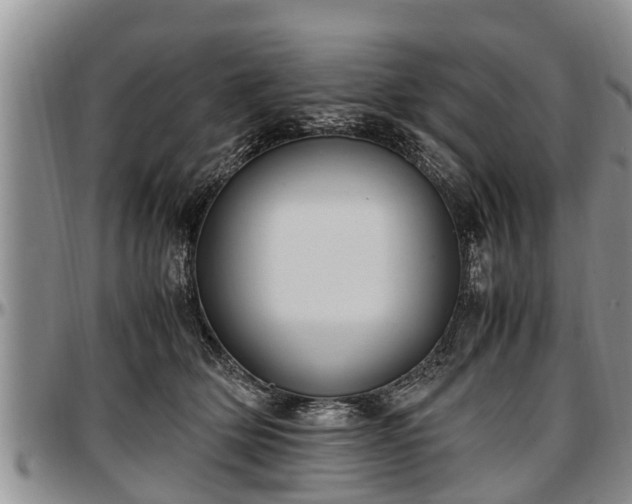 X0000097500514200802291600