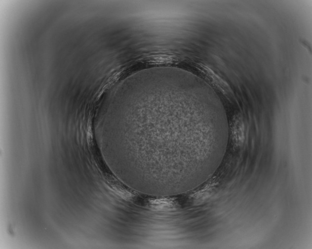 X0000097500516200802291600