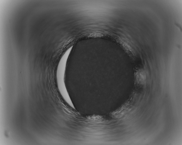 X0000097500517200802291600