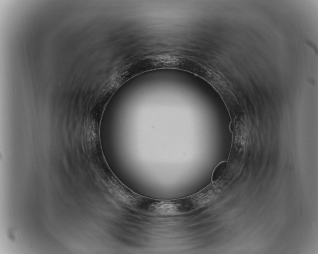 X0000097500518200802291600