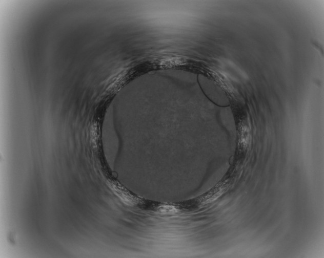 X0000097500519200802291600