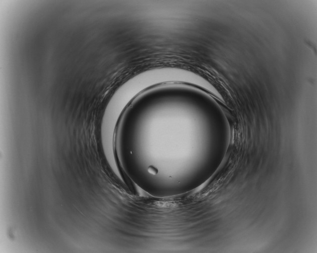 X0000097500520200802291600