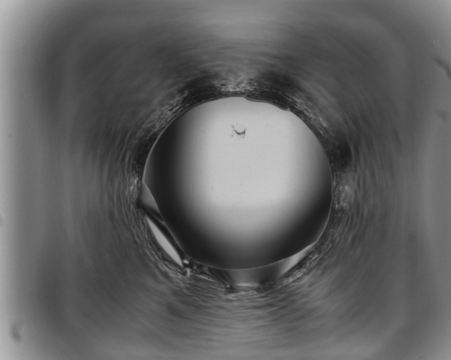 X0000097500521200802291600