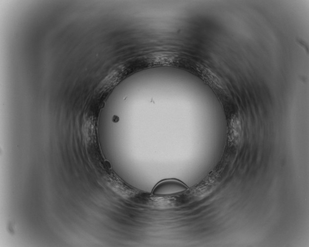 X0000097500522200802291600