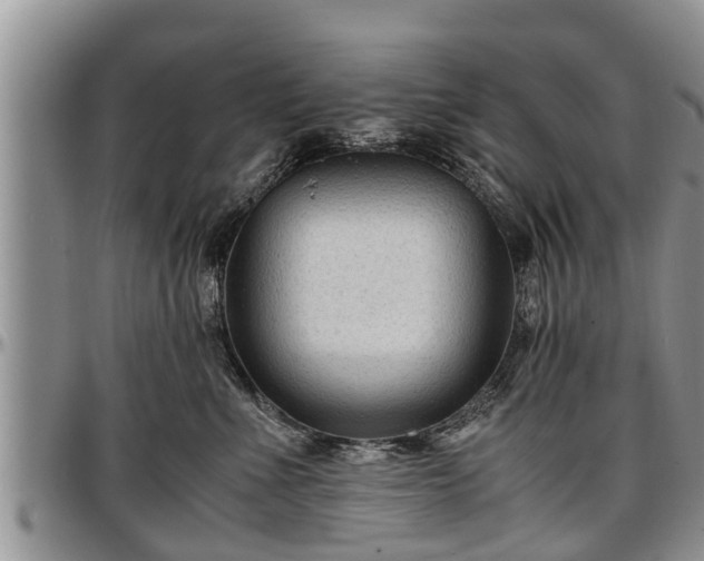 X0000097500523200802291600