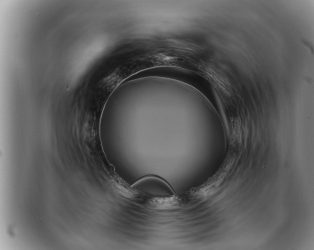 X0000097500526200802291600