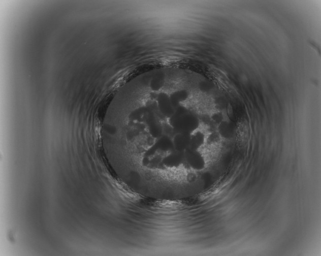 X0000097500527200802291600