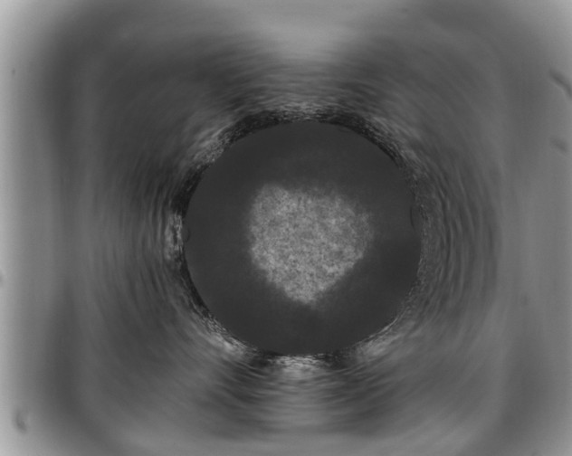 X0000097500528200802291600