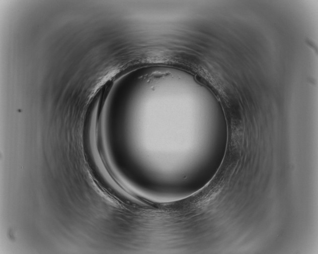 X0000097500530200802291600