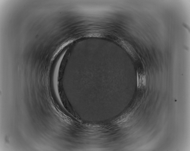 X0000097500531200802291600