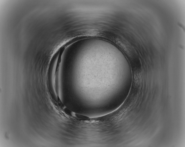 X0000097500532200802291600