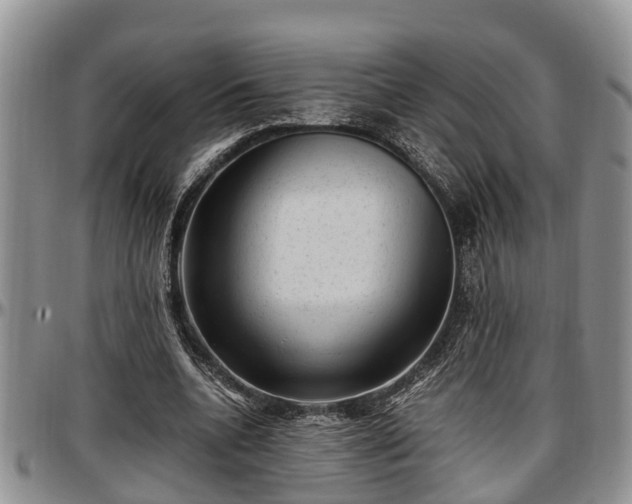 X0000097500536200802291600