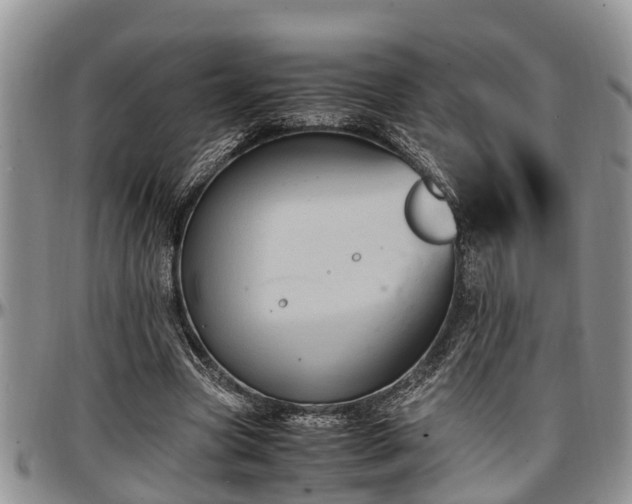 X0000097500537200802291600