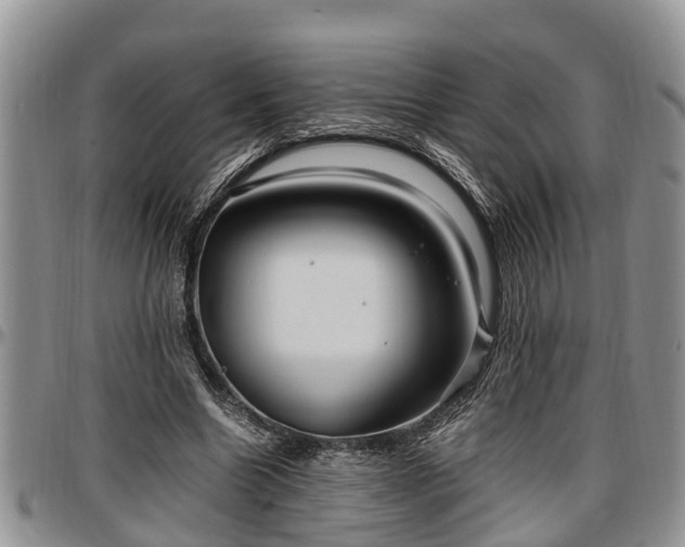 X0000097500538200802291600