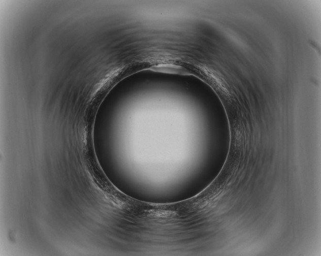 X0000097500539200802291600