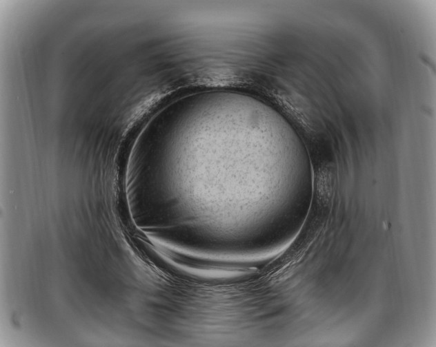 X0000097500540200802291600
