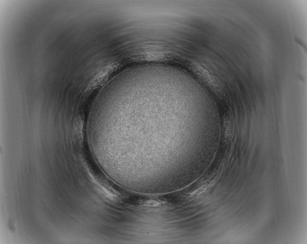 X0000097500542200802291600