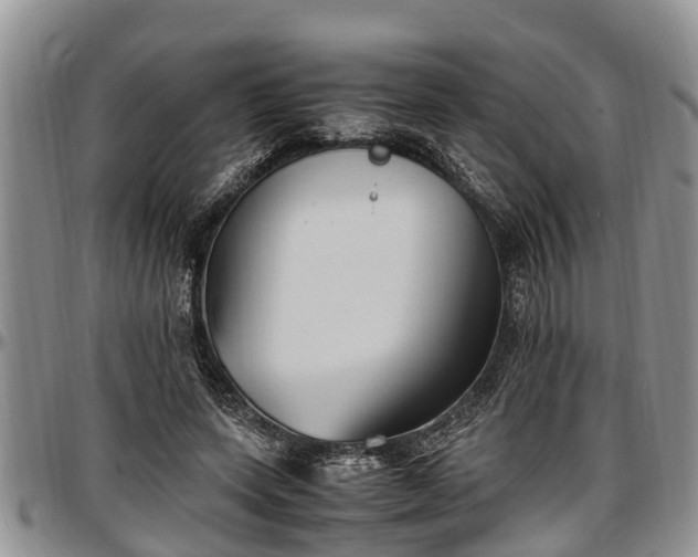 X0000097500543200802291600