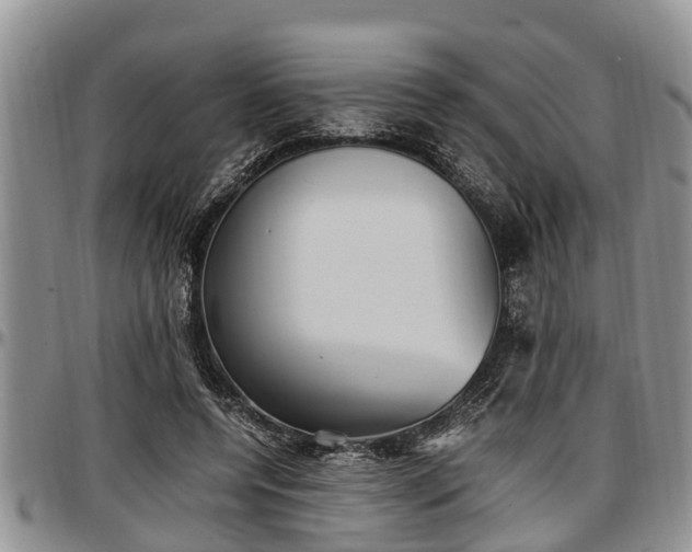 X0000097500544200802291600
