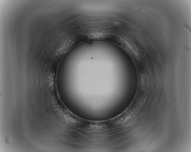 X0000097500545200802291600