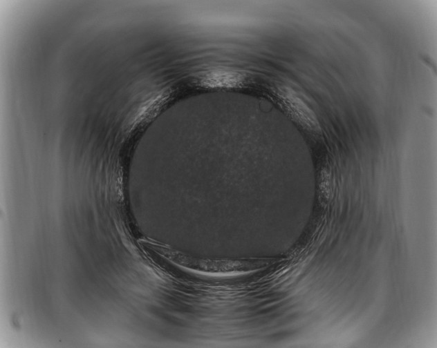 X0000097500547200802291600