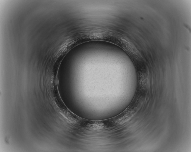 X0000097500548200802291600