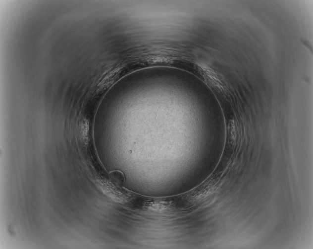X0000097500550200802291600