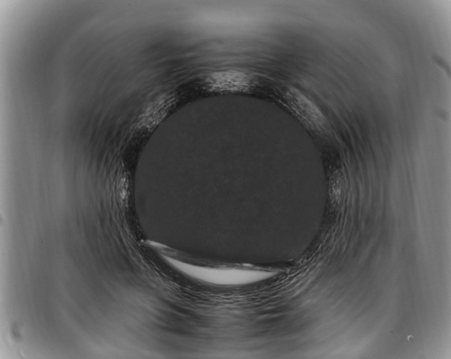 X0000097500551200802291600