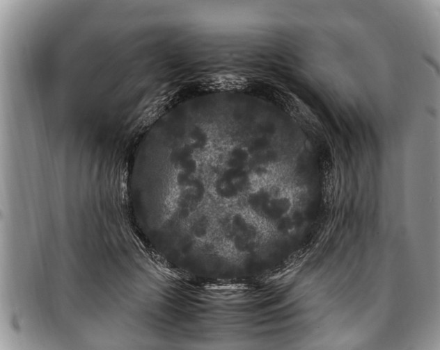 X0000097500553200802291600