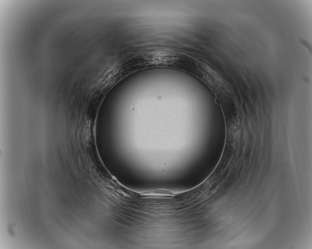 X0000097500554200802291600