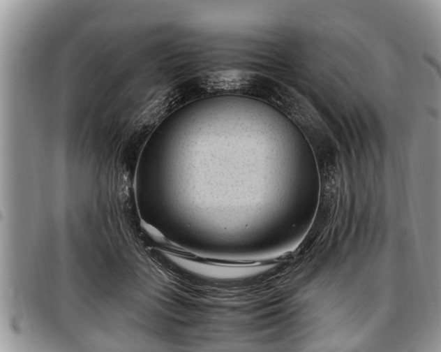 X0000097500555200802291600
