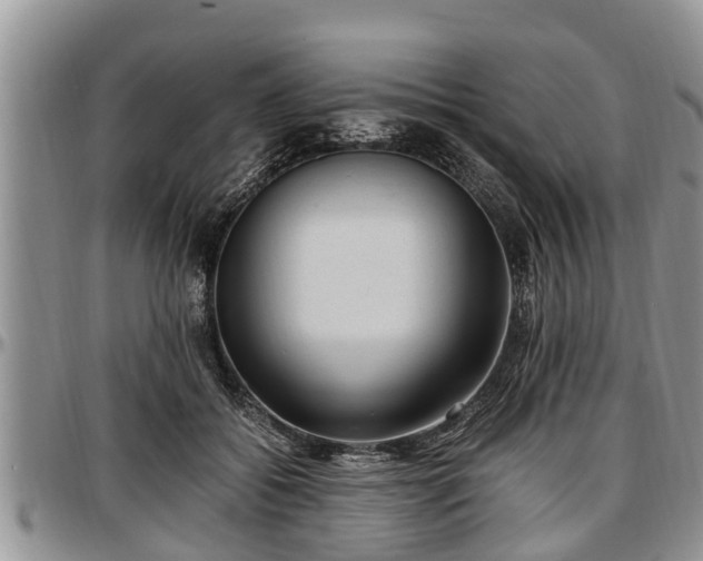 X0000097500556200802291600