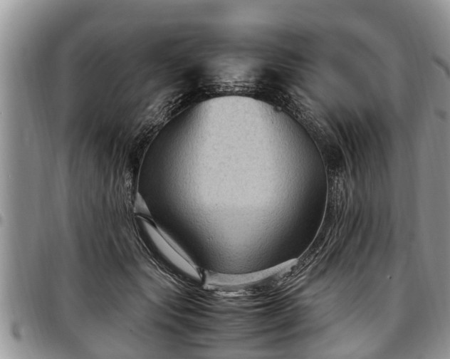 X0000097500557200802291600